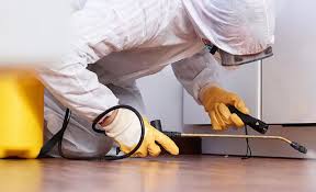 Best Pest Exclusion Services  in Brocton, NY